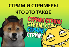Стримеры: кто такие, сколько зарабатывают, что делать, чтобы стать стримером